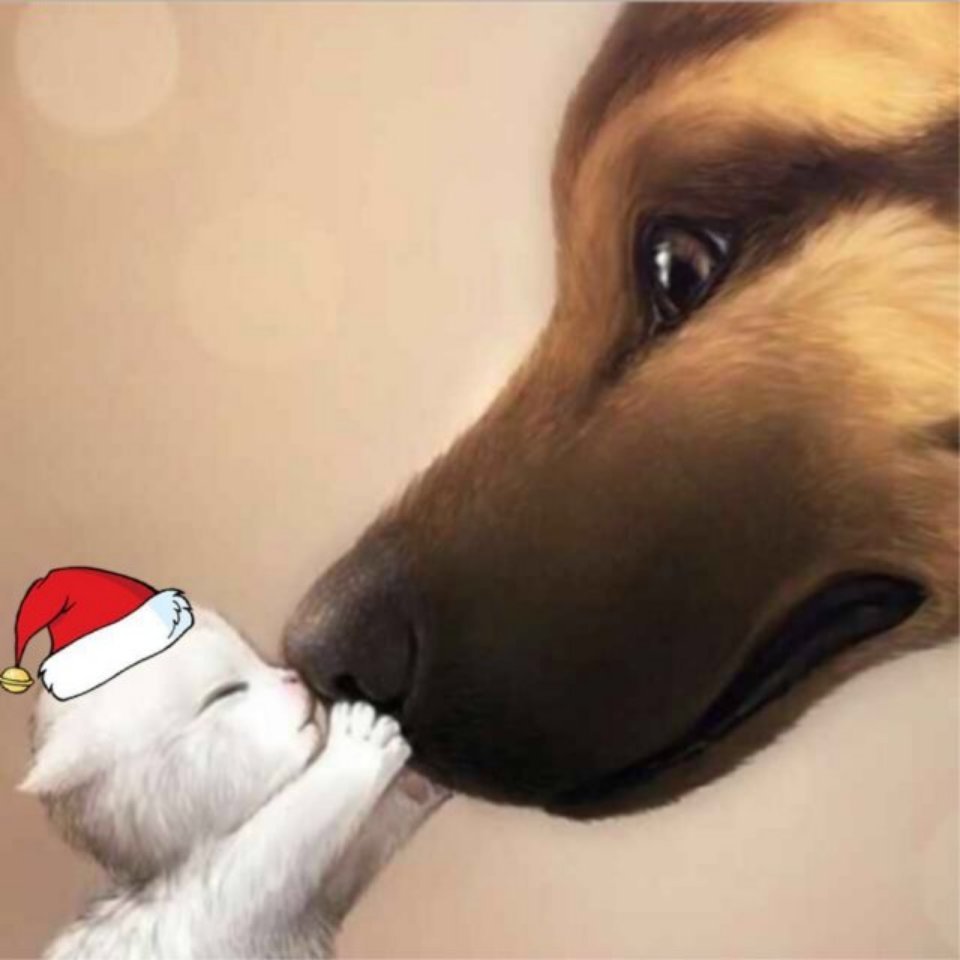 四十岁左右中年男性头像,穿白色衬衫,蓝色背景,专业商务形象